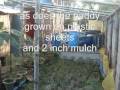 Greenroof - Solar energy, rainwater harvesting and grey water use in Bangalore,India :)