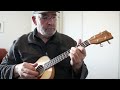 Sony A33/ Kala travel tenor ukulele