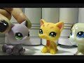 Lps My Secret Ideny images Lps My Secret Ideny