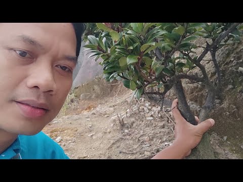 EXPLORE GUNUNG BLEGO TROSONO PARANG MAGETAN