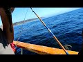 San Diego Sportfishing Deep Sea Fishing trip Calico Bass & Rock Fish By the Dozen