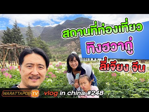 เที่ยวจีน - สถานที่ท่องเที่ยว ทิงฮวากู่ ในลี่เจียง จีน | VLOG IN CHINA EP248 ไทย