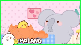 Molang - The Pumpkin | Cartoon for kids
