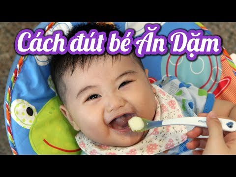 Cách Đút Cho Bé Ăn Dặm (Ăn Dặm Đúng Cách #2)