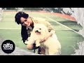 Putih - Amanda (Official Video) download mp3 dan video Putih - Amanda (Official Video)