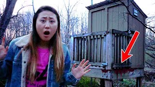 SEARCHING FOR STEPHEN SHARER (HAUNTED ABANDONED HOUSE 😱) SEARCHING FOR STEPHEN SHARER (HAUNTED ABANDONED HOUSE 😱)