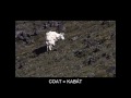 Cattle Dictionary | RM. Cattle Dictionary | RM.