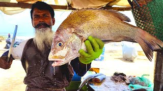 Cutting Huge Indian Saifin Tang Fish | Fish Cutting Skills Sri Lanka