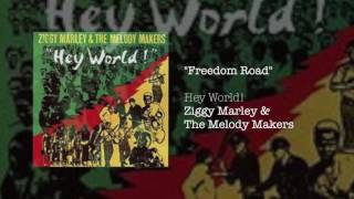 Watch Ziggy Marley Freedom Road video