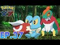 Pokemom Hindi the series : XY //EP 37// Forging Forest Friendships! // Pokemon Hindi