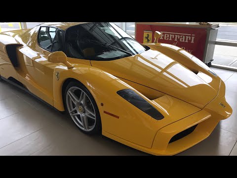 FINDING AN ENZO + US Motorsports Hall of Fame