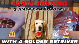 Taste testing 3 American hamburgers with a dog (Japanese game show style)