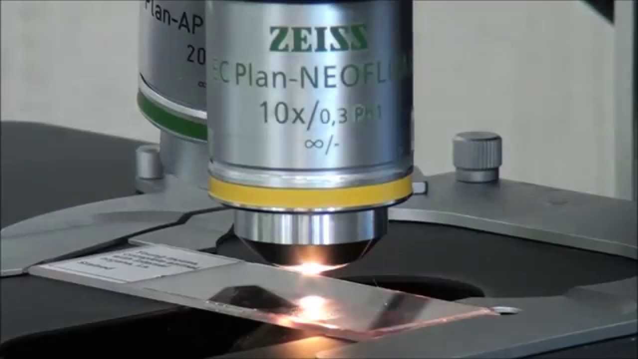 ZEISS Microscopy