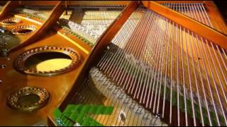 Watch Bill Monroe Blue Yodel No 4 video