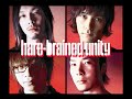hare-brained unity 2ndアルバム「EVEN BEAT 30"CM SPOT