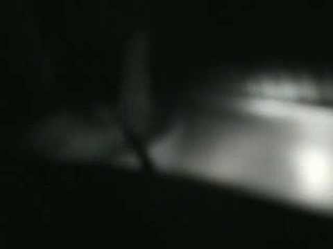 voitures de collection et amateur de tuning Peugeot 205 GTI voitures de collection et amateur de tuning Peugeot 205 GTI