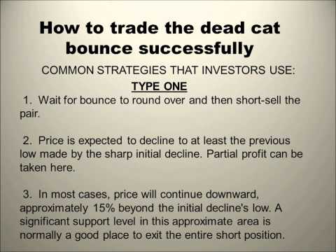 forex live 4 dead