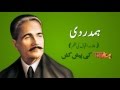 Hamdardi By Alama Iqbal | Alama Iqbal's Urdu Poem | Urdu Poems for Kids | Toffee TV