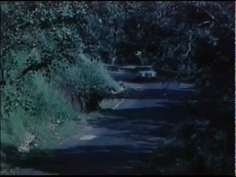 Dil Dhundta Hai Phir Wohi (Sad) - Bhupinder