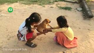 Amazing Smart Dog Playing With Cute Daughter at Home-How to Playing With Smart D