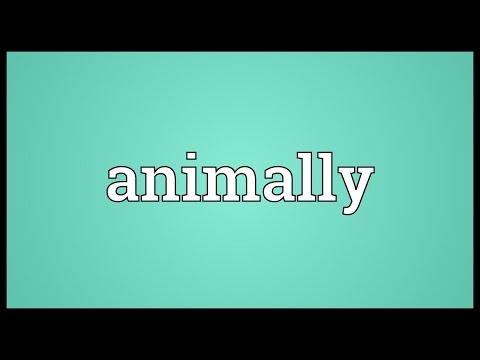 Header of animally