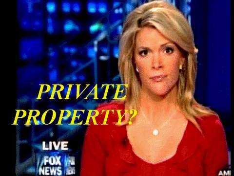 megyn fox news lawyer