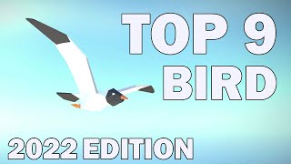 Top 9 Best Bird Animations of 2022