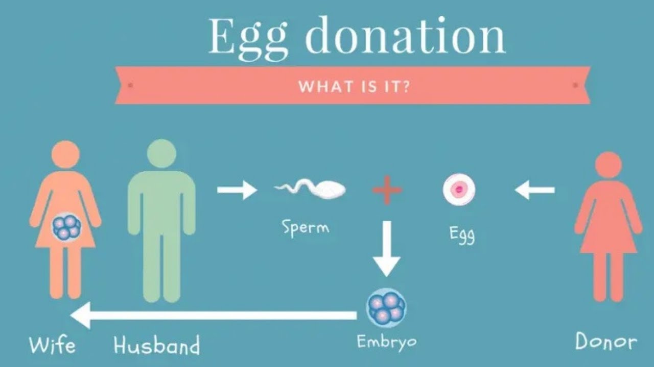 Ivf sperm donation