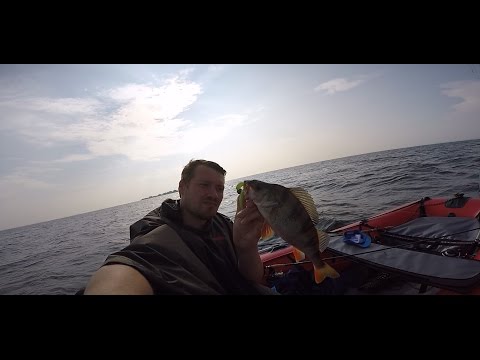 рыбалка в кронштадте летом рыбалка во кронштадте летом