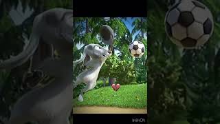 9KOEKcSNMEg Video Image