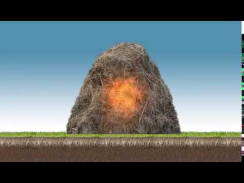 All Videos