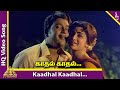 Kaadhal Kaadhal Video Song | Uttharavindri Ulle Vaa Movie Songs | Ravichandran | Kanchana | MSV