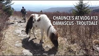 Chaunce’s AT Vlog #13: Damascus - Troutdale