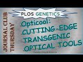 Journal Club Thursday #1: Opticool: Cutting-edge transgenic optical tools  |  JCT_1