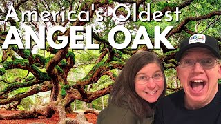 Angel Oak Tree Charleston Sc