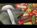 SHARK PUPPET AND THE EVIL ELF ON THE SHELF!!