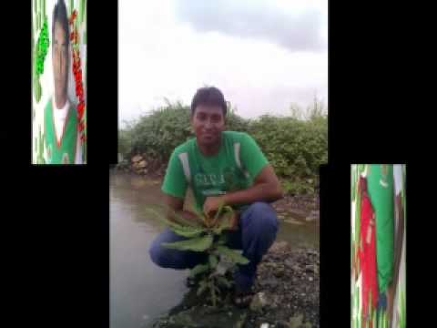 maine dil ka hukum sun liya by ajay
