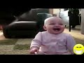 Videos de risa de bebes - Se ríen de los perros