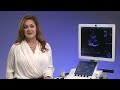 GEHealthcare Vivid T8 Ultrasound Demonstration