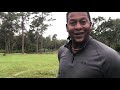 Cheapest Way To Fertilize Palm Trees