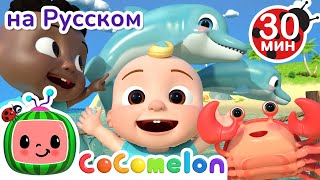 Морские Животные | Новая Серия💫 30 Минут | Cocomelon На Русском — Детские Песенки