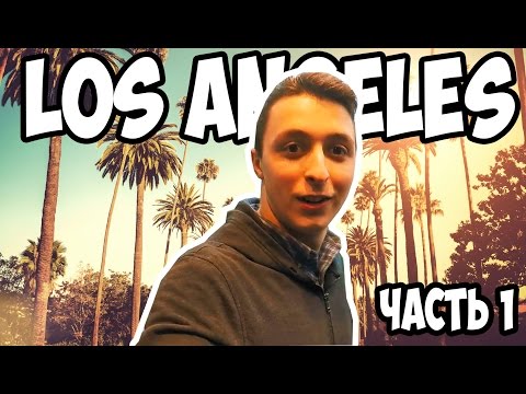 Vlog 12 Vlog 12