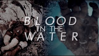 Teen Wolf || Blood in the Water