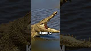 Crazy Fact About The Crocodile Most People Dont Know