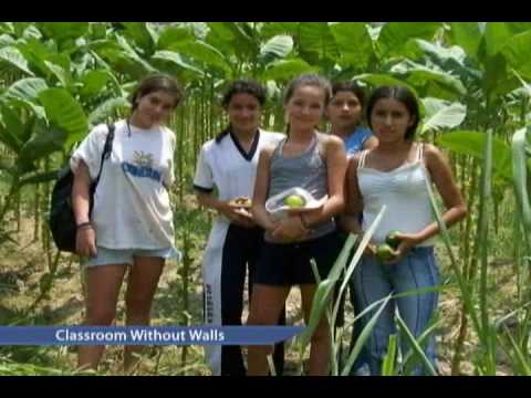 Colegio Nueva Granada 2009 Institutional Video - Part 2 of 2