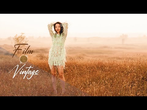 Film & Vintage giống và khác nhau như thế nào?