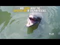 Best Drive Ever: Florida's Overseas Highway - Travel Channel