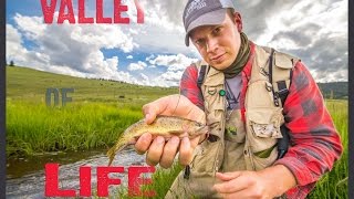 Valley of Life