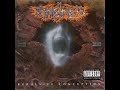 Broken Hope-Pitbull grin