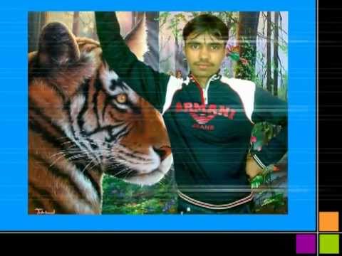 char dino ka pyar o rabba